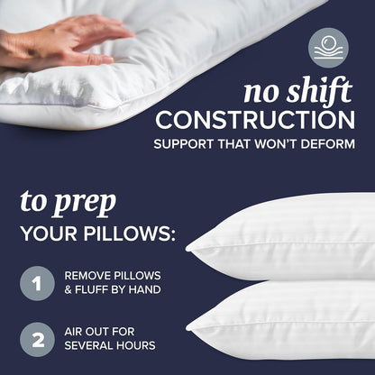 Bed Pillows Set of 2