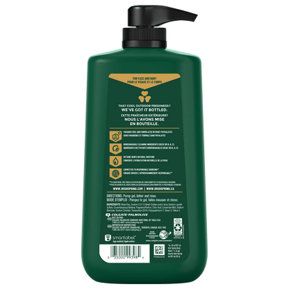 Irish Spring Mens Body Wash