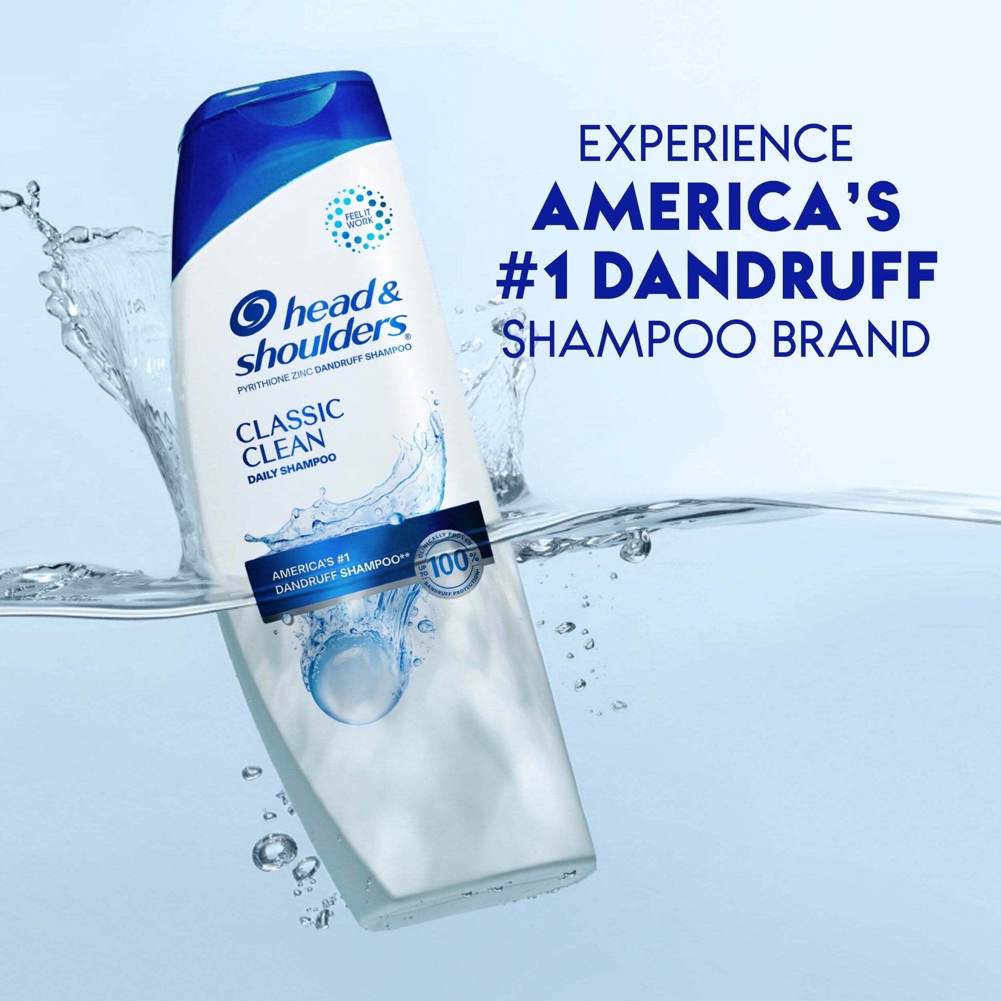 Head and Shoulders Dandruff Shampoo