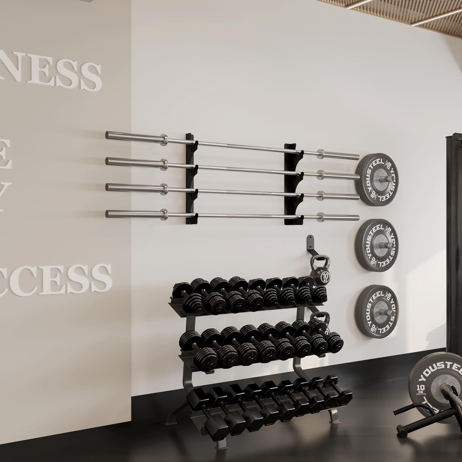 Wall Mounted Olympic Barbell Rack