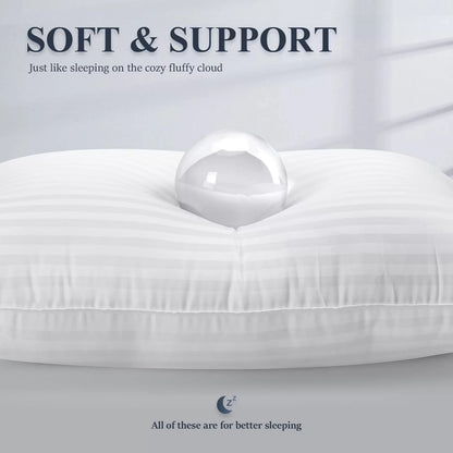 Bed Pillows 2-Pack